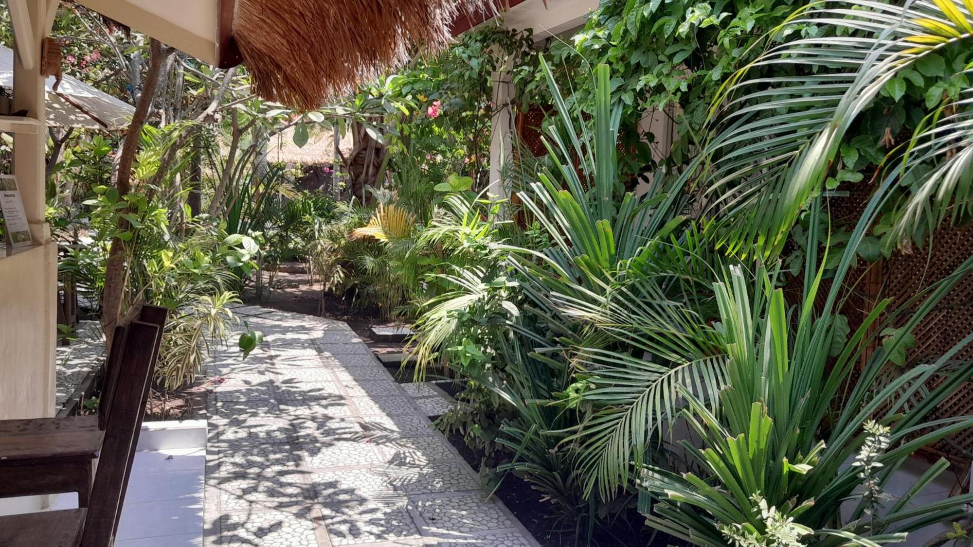 Wombat'S B&B Gili Trawangan Exterior photo